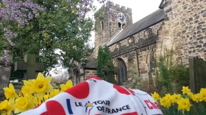 Otley 1 Daffodils and Polka Dots